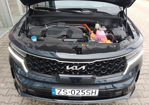 Kia Sorento cena 224900 przebieg: 3850, rok produkcji 2023 z Młynary małe 466